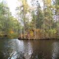 Idyllischer See in Lettland (100_0921.JPG) Riga Lettland Baltikum